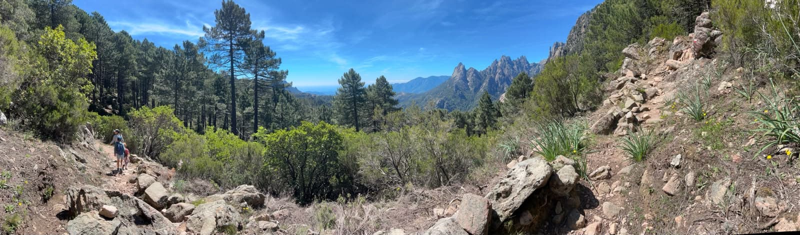 Hikers on a rocky mountain trail through pine forest, with jagged peaks and the sea in the distance