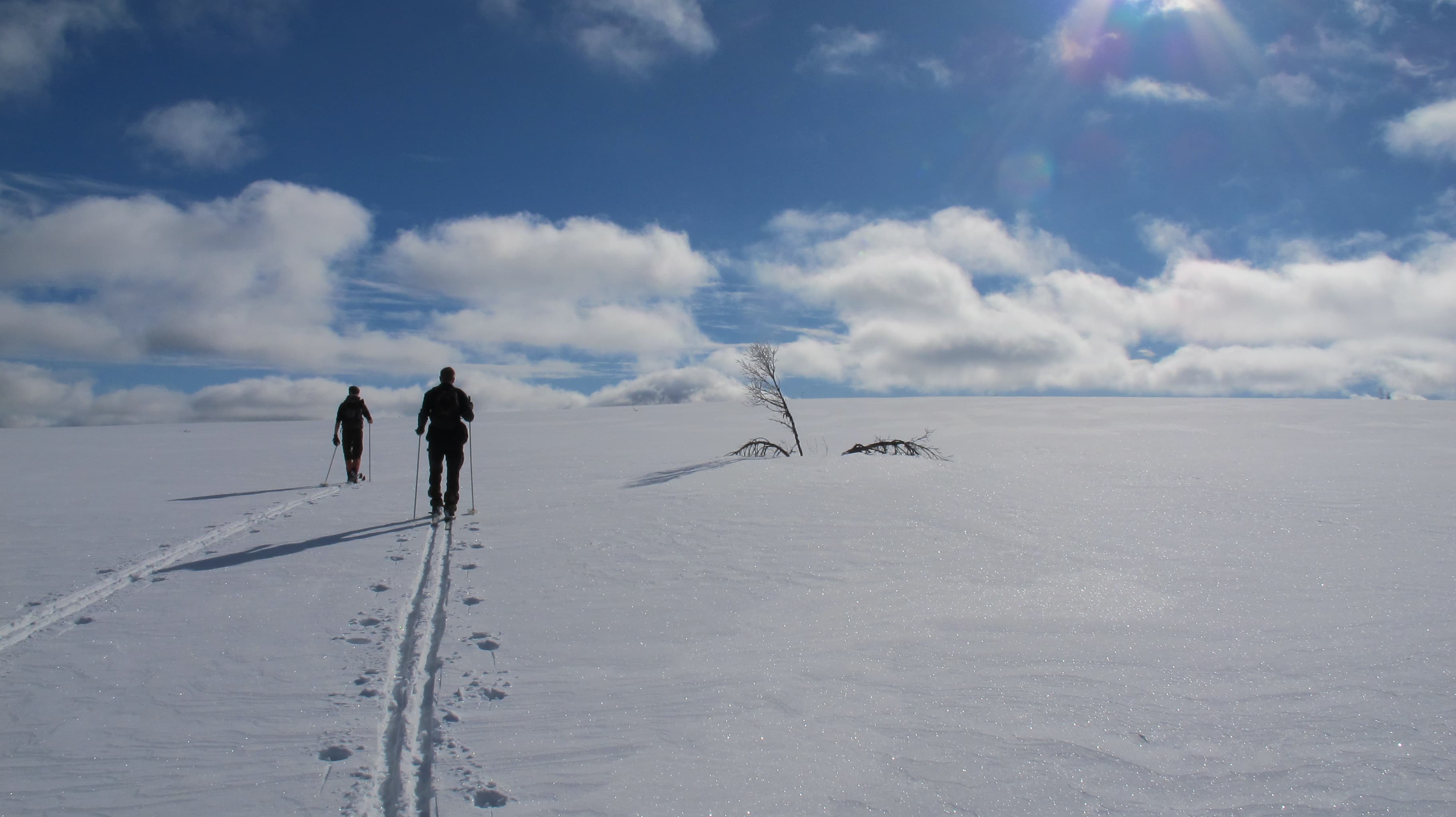 Winter wilderness retreat