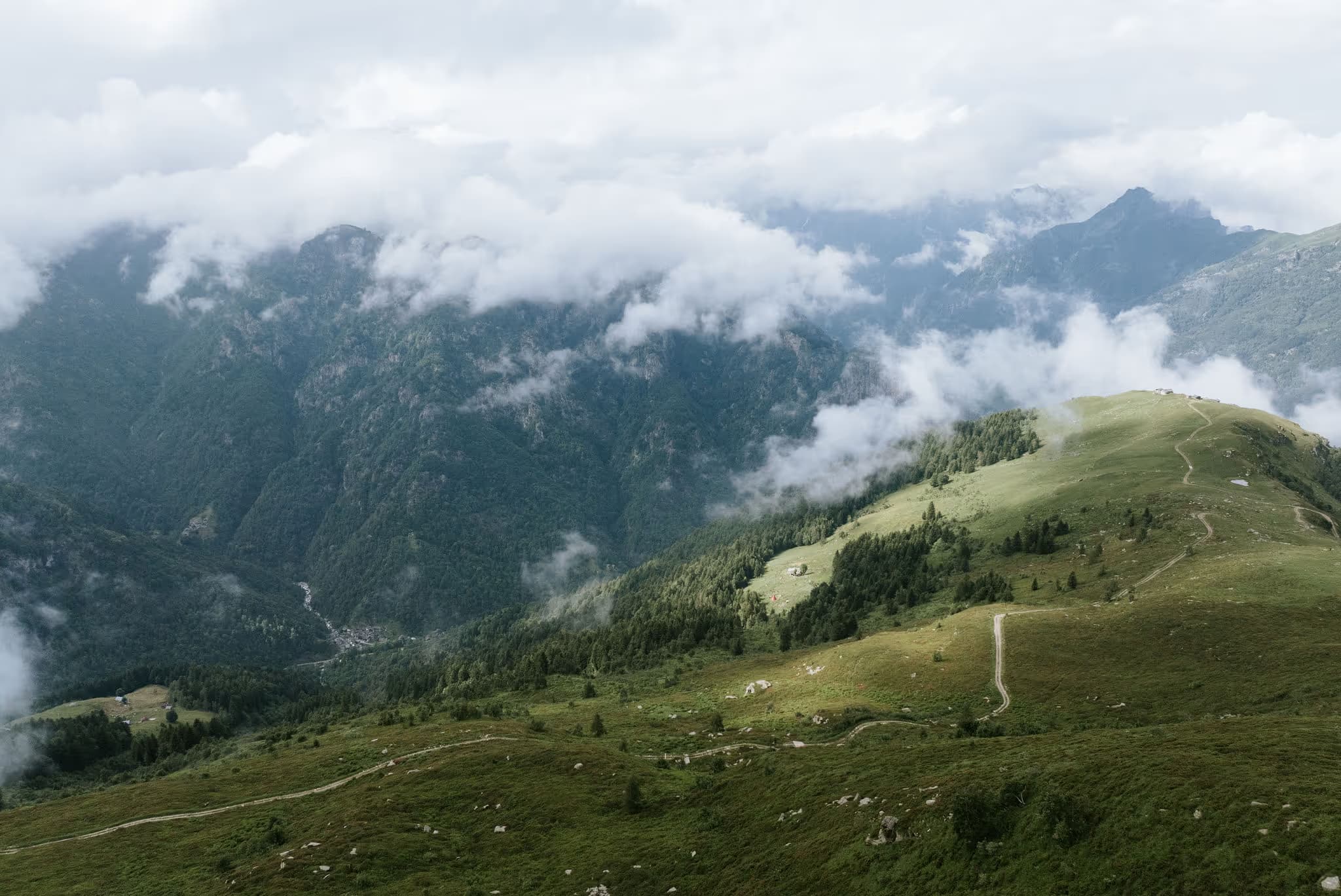 Sitting in silence above the treeline