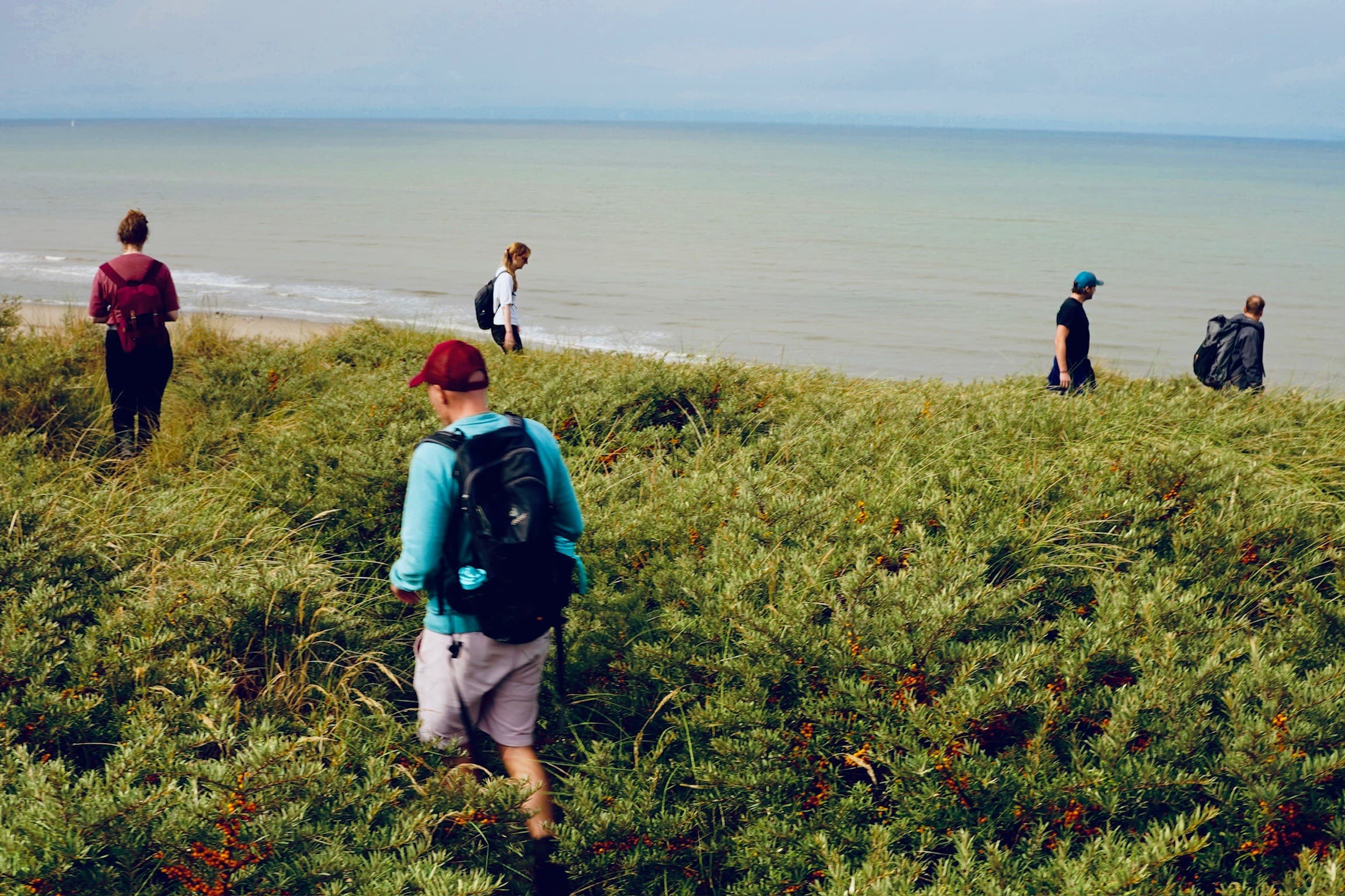 The group walking a woodland path in autumn