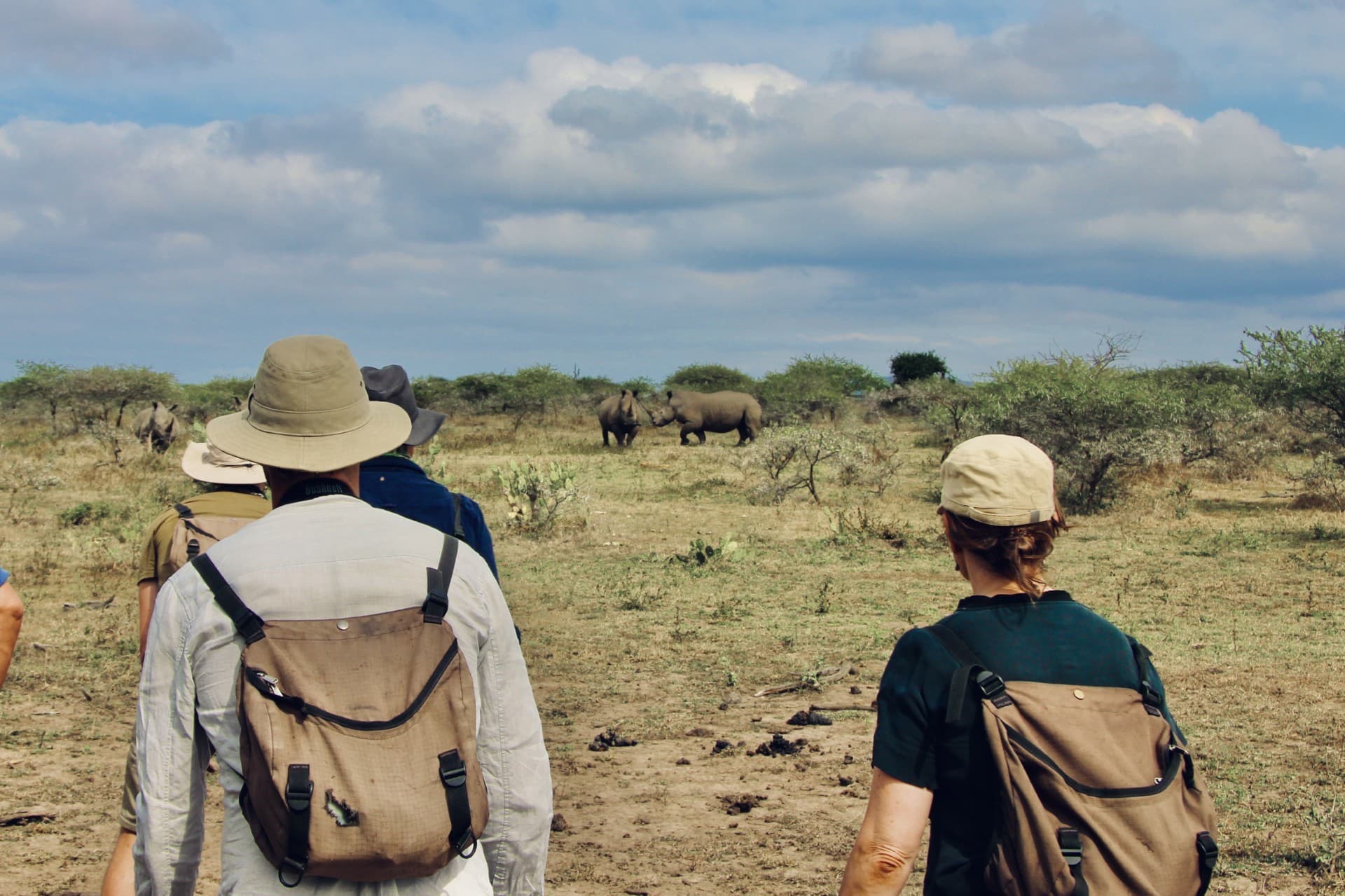 Walking single file through the bush
