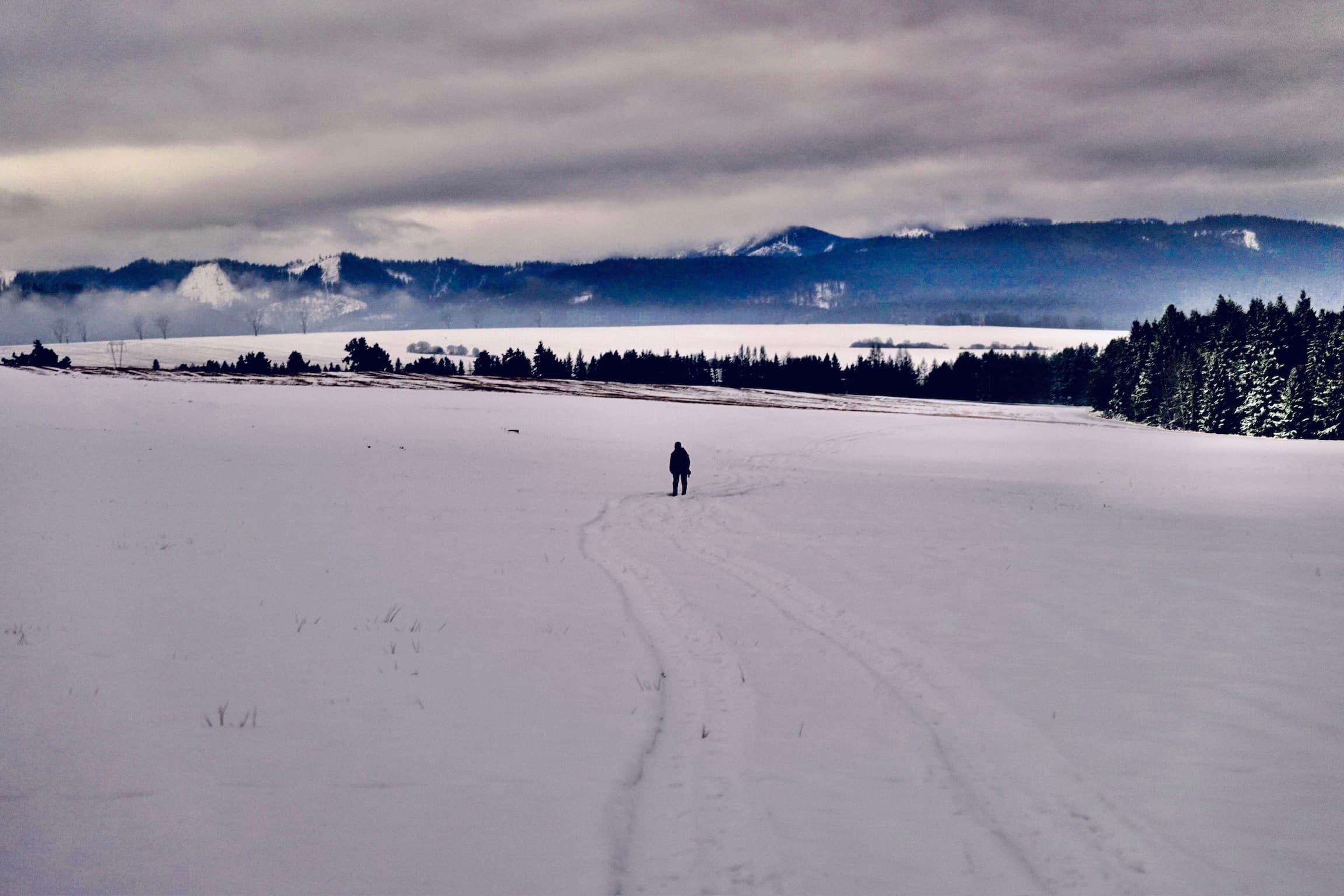 A valley in the Tatra range