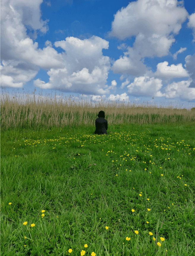 A coaching conversation out in the meadow