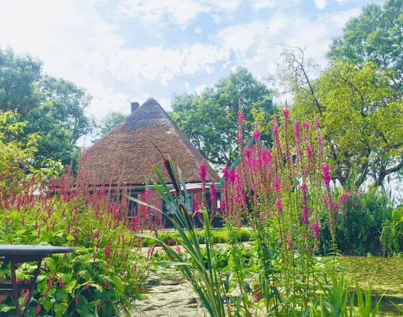 The farmhouse and garden