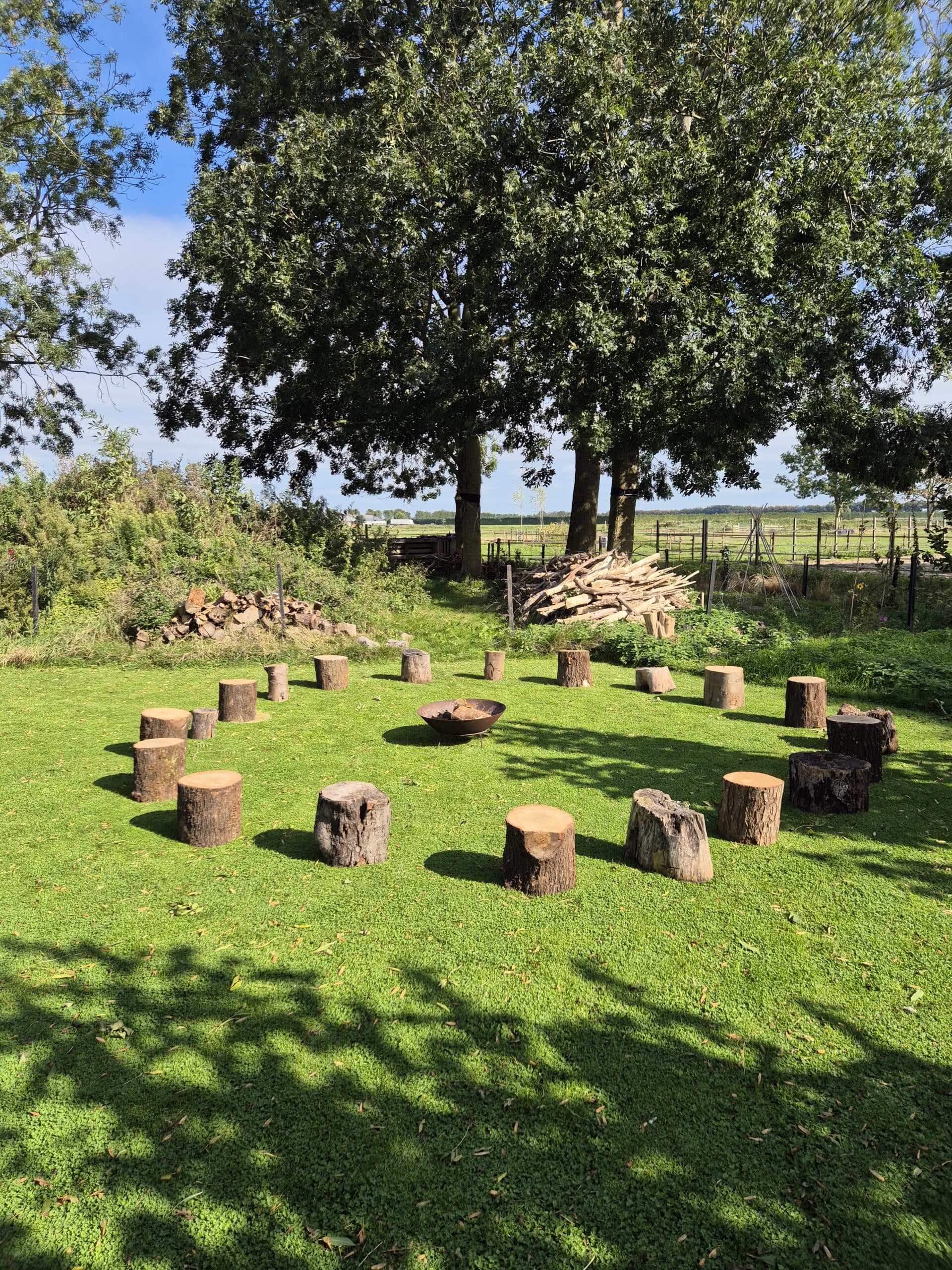 A quiet corner of the farm set up for a session