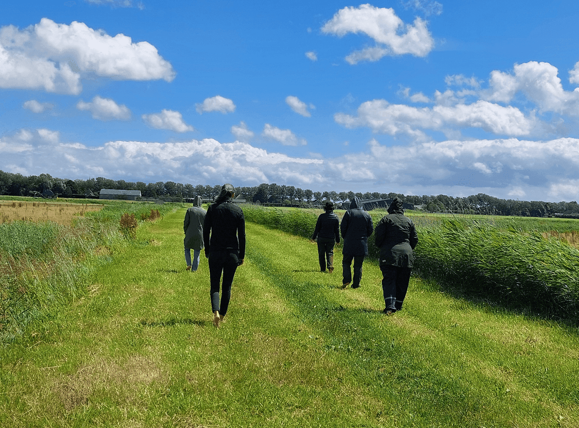 Walking the meadow together