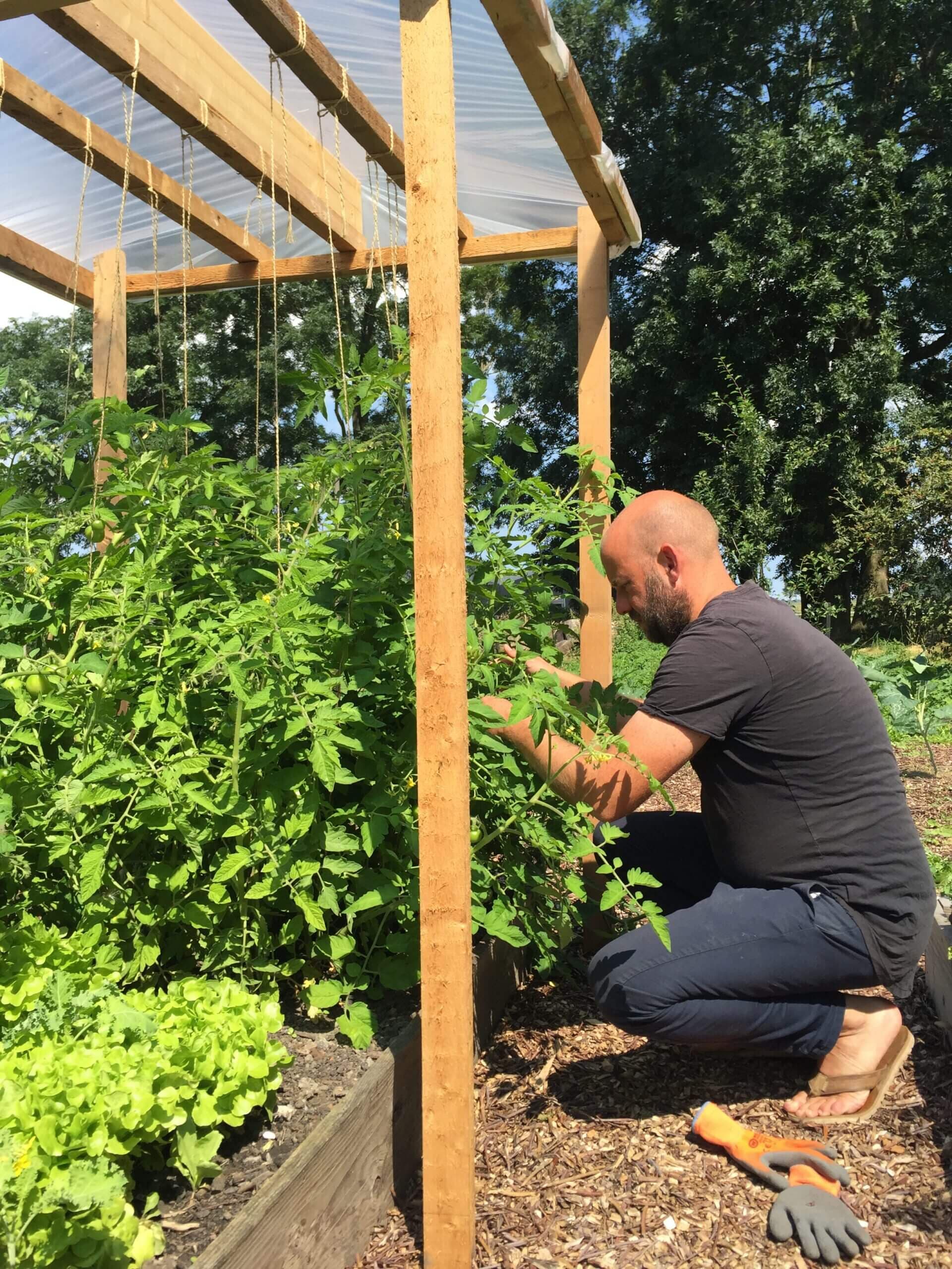 Working in the vegetable garden