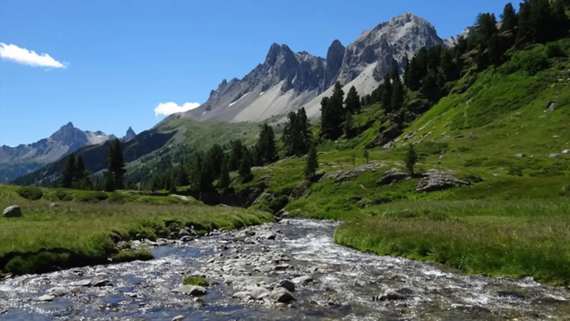 A mountain stream in the Clarée valley