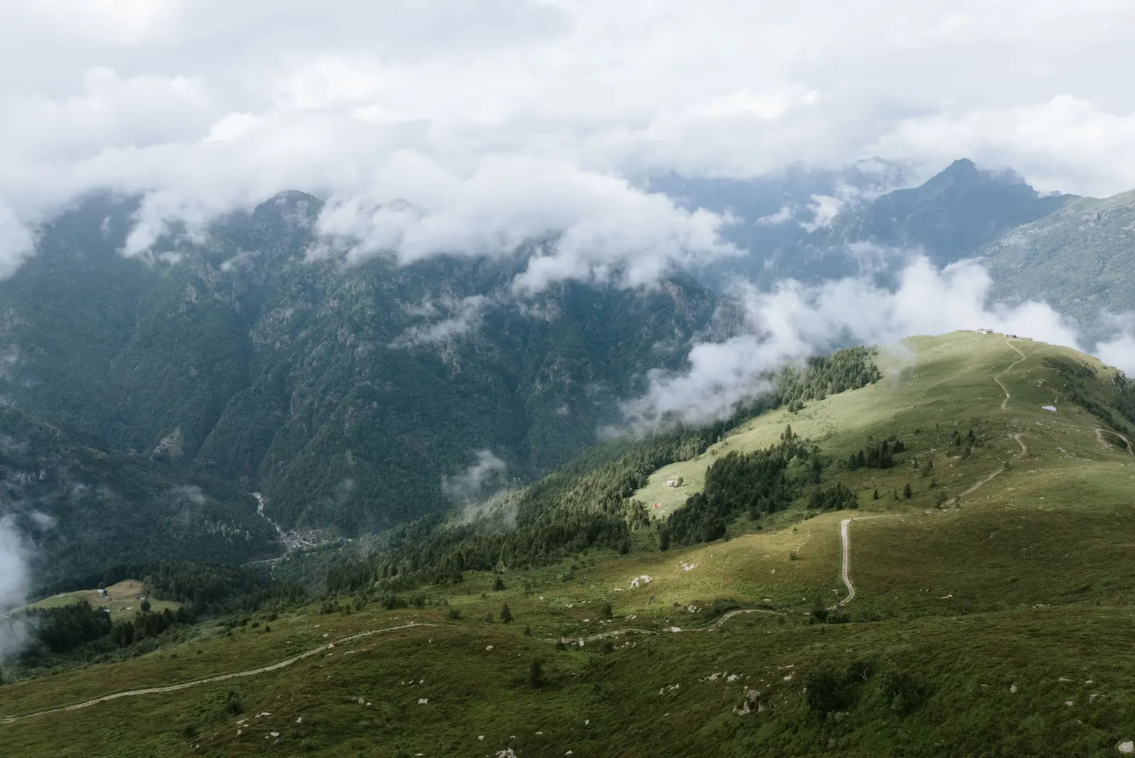 Sitting in silence above the treeline