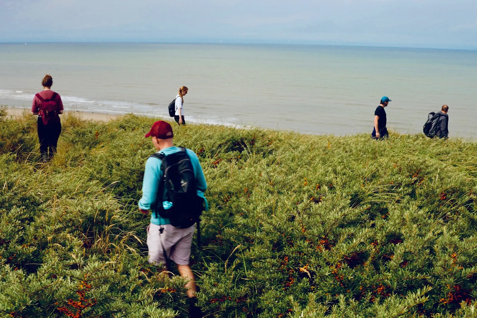 The group walking a woodland path in autumn