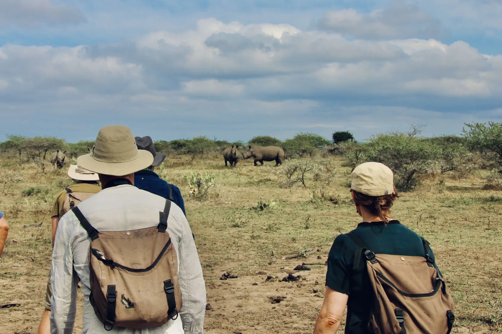 Walking single file through the bush