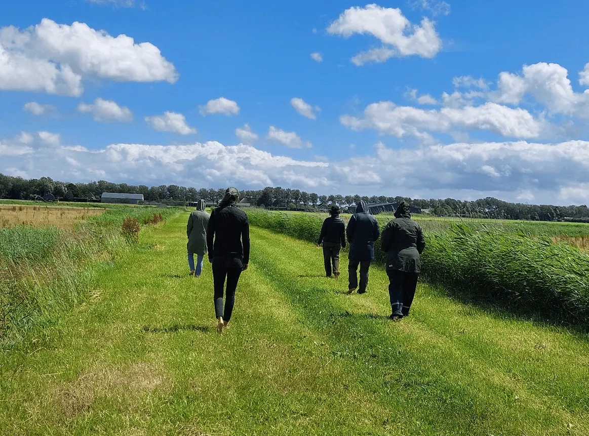 Walking the meadow together