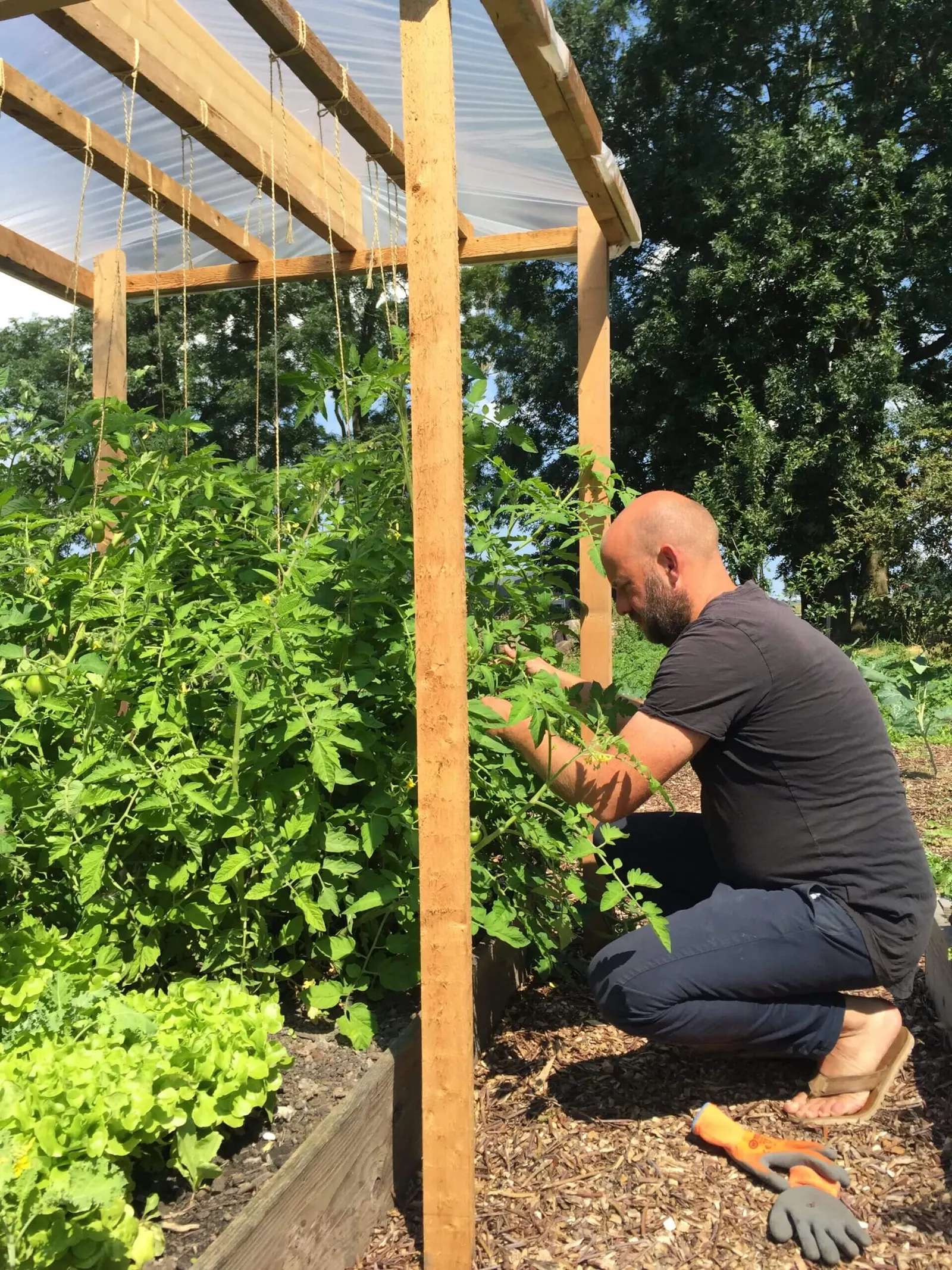 Working in the vegetable garden