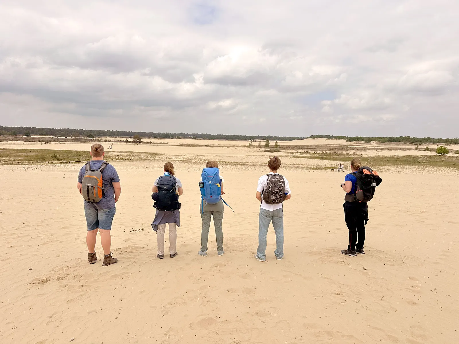 24-hour coaching walk in the Loonse & Drunense Dunes