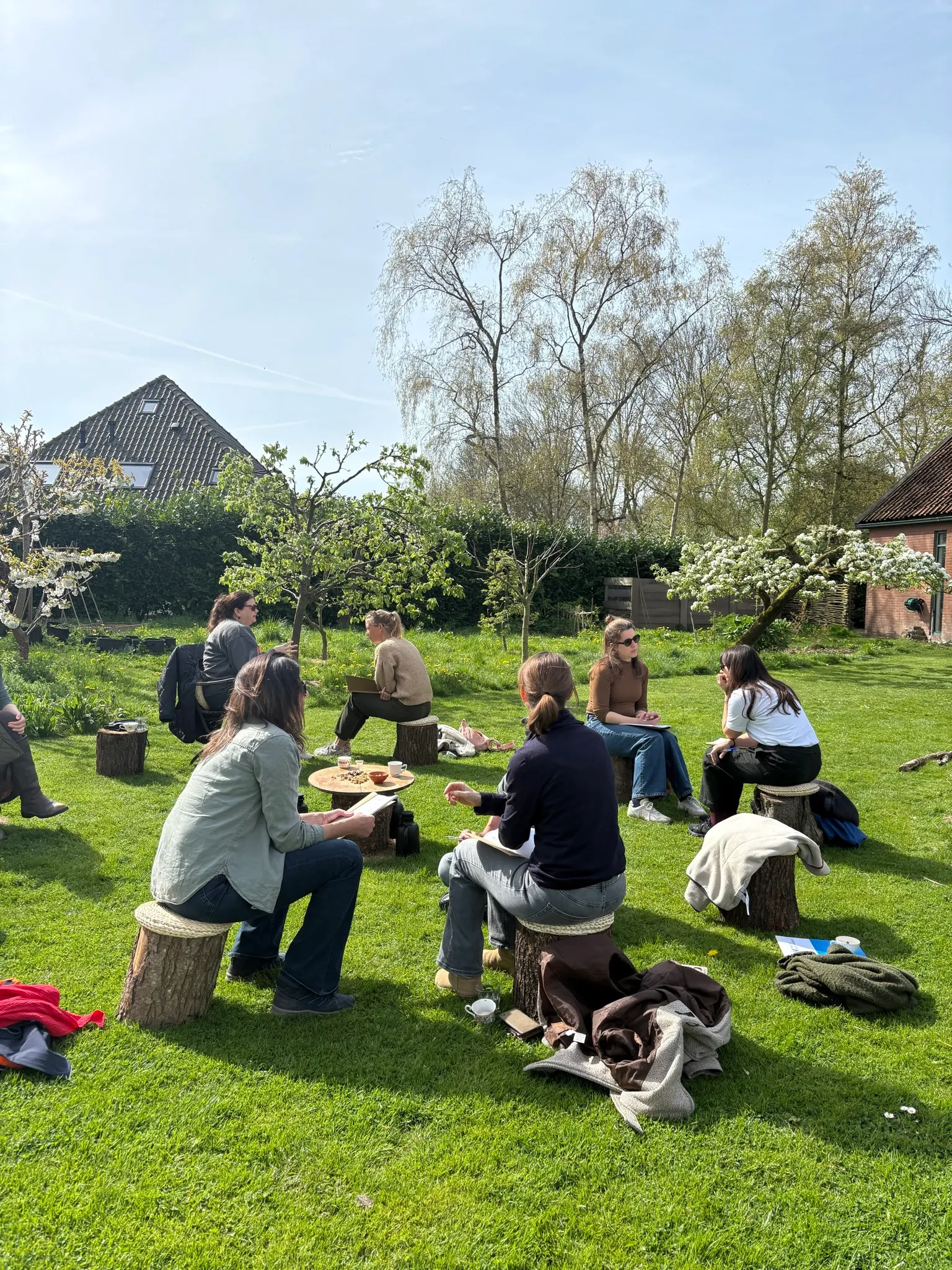 Team Day in Nature