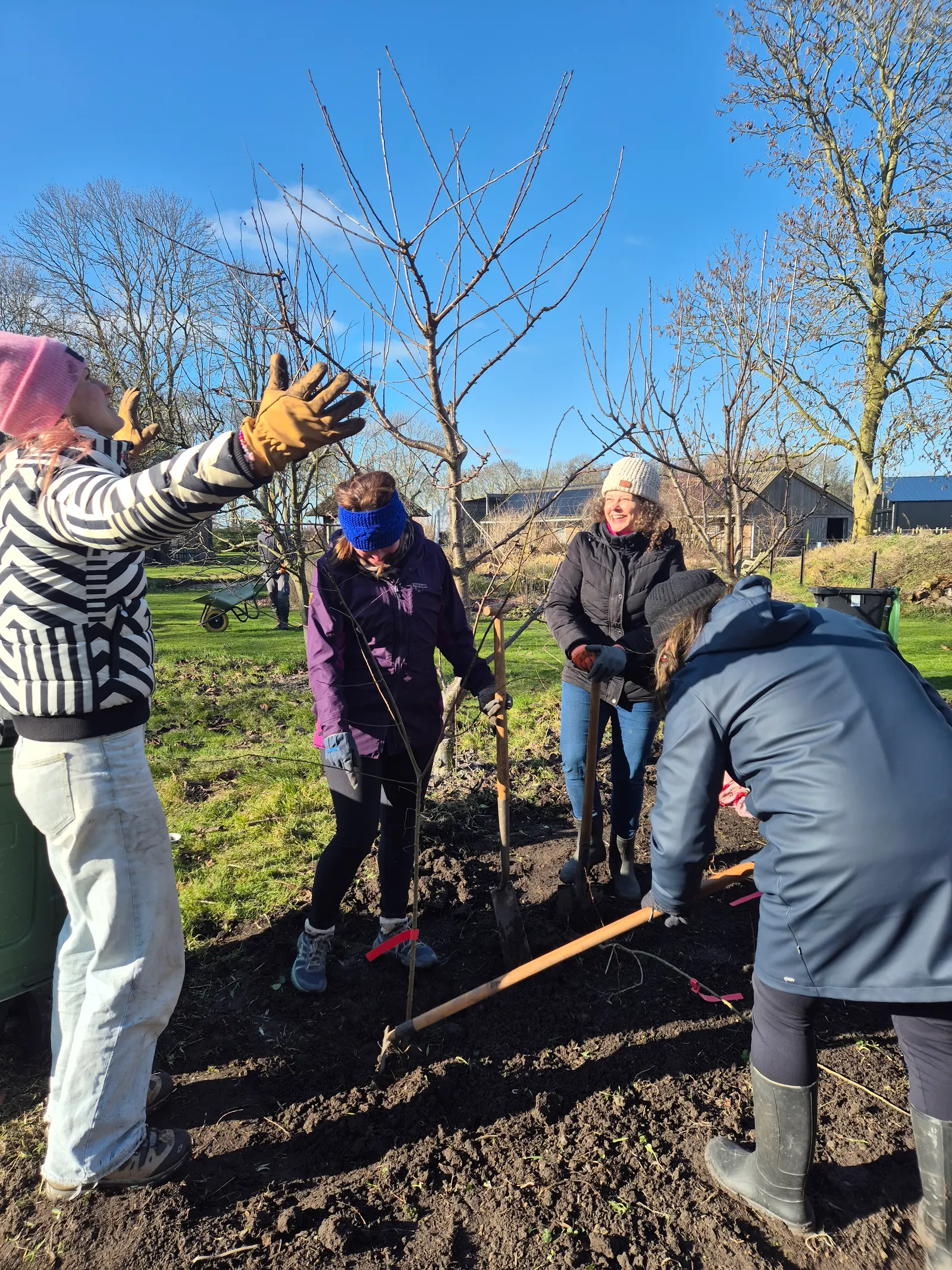 Garden Therapy Program