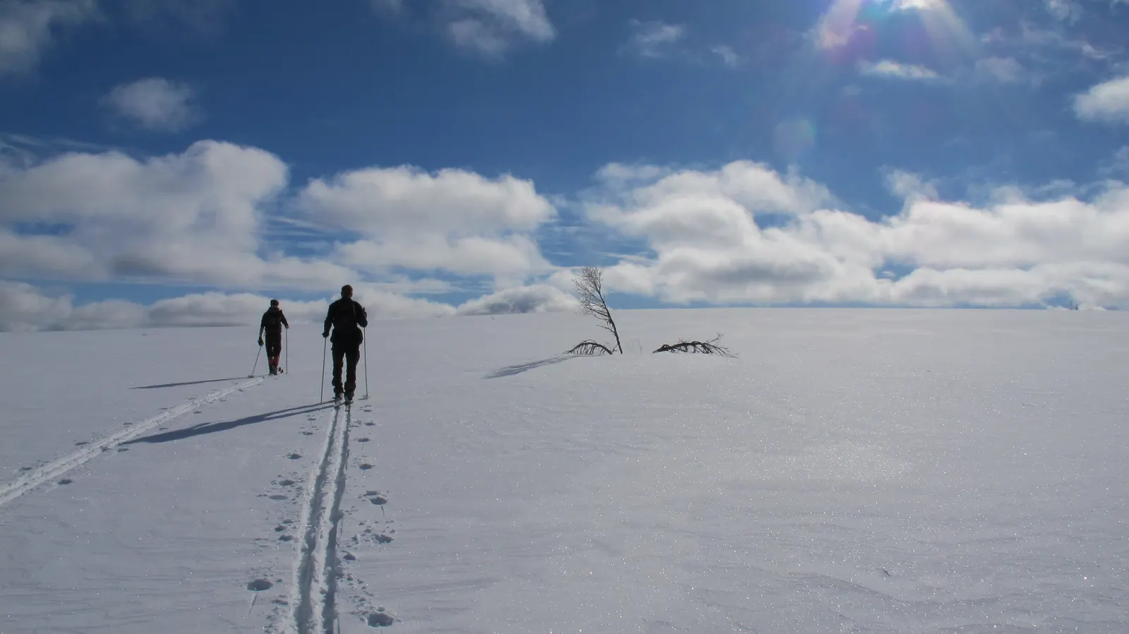 Winter wilderness retreat